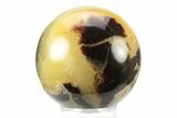 Polished Septarian Sphere - Madagascar #238986-1